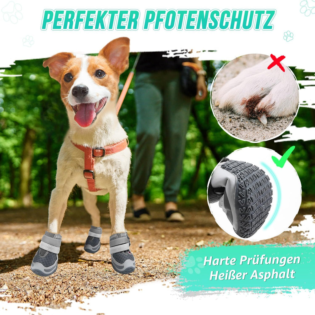 Încălțăminte pentru câini